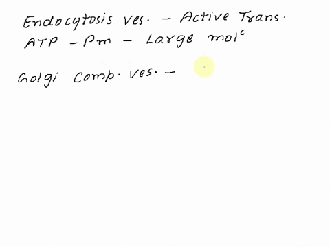 what-cell-membrane-structure-allows-water-soluble-materials-to-be-passively-transported-to-the-cytoplasma-endocytosis-vesiclesb-carrier-proteins-c-hydrophilic-phospholipid-tailsd-golgi-compl-70199