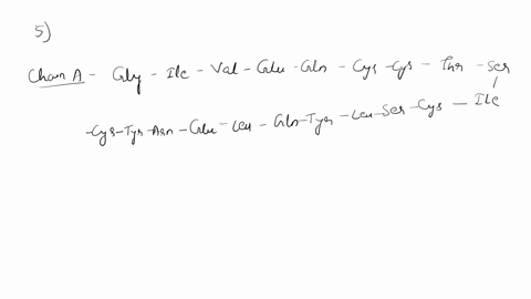 5-write-out-the-amino-acid-sequences-ofthe-mature-insulin-hormone-b-and-chains-write-qul-wo-separate-chains-do-not-unite-the-chains-please-write-these-out-in-the-profora-remember-remove-the-33508