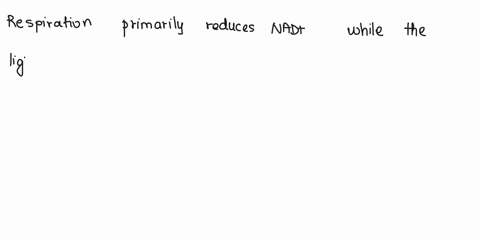 respiration-and-the-light-reactions-of-photosynthesis-have-several-features-in-common-which-of-the-following-is-nql-a-common-feature-both-use-an-electron-transport-chain_-both-couple-the-ene-42088