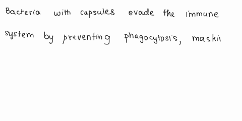 klebsiella-pneumoniae-is-bacteria-that-produces-capsulc-glycocalyx-capsules-can-enable-bacteria-to-evade-immune-responses-and-are-typically-t-independent-antigens_-describe-3-wavs-bacteria-w-21433