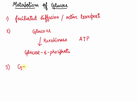 explain-how-glucose-is-metabolized-to-yield-atp-41757