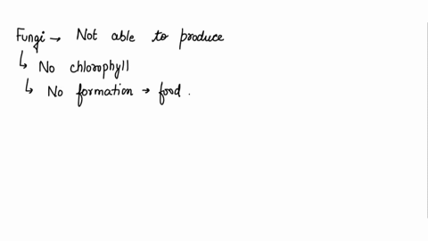 fungi-cant-produce-their-own-energy-but-instead-take-in-nutrients-from-their-environment-this-makes-fungi-a-heterotrophs-b-chemotrophs-c-mixotrophs-d-autotrophs-41603