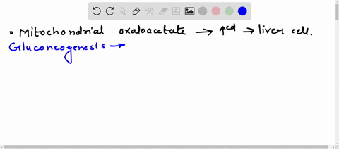 suppose-the-concentration-of-mitochondrial-oxaloacetate-increased-dramatically-in-a-liver-cell-explain-how-the-increase-would-affect-each-of-the-pathways-below-a-gluconeogenesis-b-biosynthes-15468