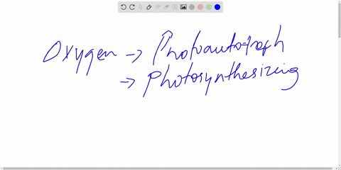 all-______-are-oxygen-releasing-photoautotrophs-a-spirochetes-b-chlamydias-c-cyanobacteria-d-proteob-08485