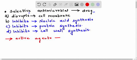 the-most-selective-antimicrobial-activity-would-be-exhibited-by-a-drug-that-0-a-disrupts-the-cell-membrane-b-inhibits-nucleic-acid-synthesis-0-c-inhibits-protein-synthesis-dinhibits-cell-wal-68902