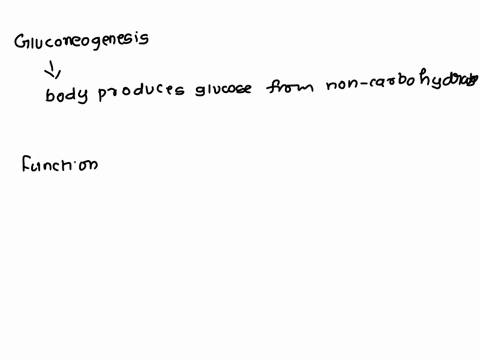 what-is-the-function-of-gluconeogenesis-227-40966