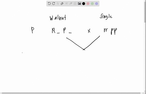 in-poultry-the-genotype-phenotype-relationships-for-comb-shape-are-r-p-walnut-rl-plp-rose-rh-p-pea-and-chr-plp-single_-a-what-will-be-the-comb-characteristics-of-the-offspring-of-a-rr-plp-xi-16613