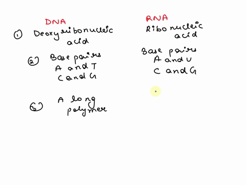 is-the-structure-shown-below-a-strand-of-rna-or-dna-0-guanine-adenine-p-adenine-cytosine-dna-rna-43186