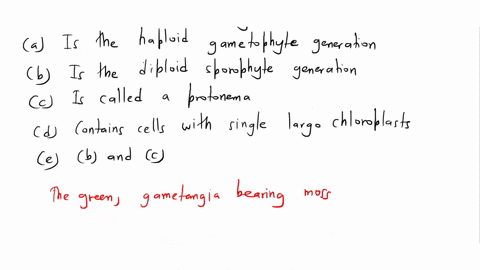 the-green-gametangia-bearing-moss-plant-a-is-the-haploid-gametophyte-generation-b-is-the-diploid-s-4-23162