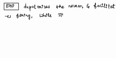 explain-the-difference-between-epsp-and-ipsp-which-of-the-two-will-facilitateinhibit-a-neuron-how-do-these-affect-the-firing-rate-of-the-postsynaptic-neuron-82887
