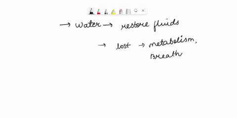 why-water-is-an-essential-nutrient-for-human-body-77332
