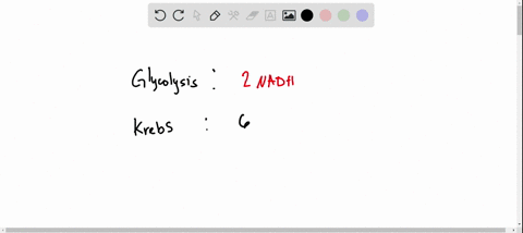 nadh-is-an-output-of-glycolysis-and-the-citric-acid-krebs-cycle-carries-energy-in-the-form-of-electrons-to-the-electron-transport-chain-is-used-in-the-electron-transport-chain-all-of-the-abo-06092