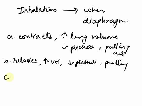 inhalation-occurs-when-the-diaphragm-a-contracts-increasing-lung-volume-decreasing-the-pressure-and-pulling-air-into-the-lungs-b-relaxes-increasing-lung-volume-decreasing-the-pressure-and-pu-07803