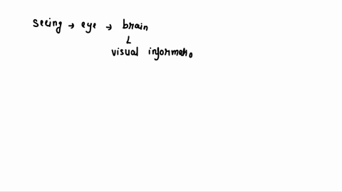 think-about-the-optical-illusions-you-observed-in-activity-10-explain-the-relationship-between-seeing-with-the-eye-and-perceiving-with-the-brain-78292