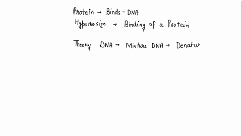 you-are-investigating-a-protein-that-you-believe-binds-to-dna-you-hypothesize-that-binding-of-this-protein-increases-the-melting-point-of-dna-design-an-experiment-to-test-your-hypothesis-88925