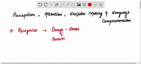 what-are-the-four-cognitive-functions-that-involve-the-central-executive-provide-an-example-of-an-everyday-task-demonstrating-each-of-these-functions-explain-how-each-example-involves-the-ce-23888