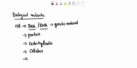 match-the-biological-molecules-with-their-function-rna-dna-proteins-glycogen-cellulose-phospholipids-structural-molecule-with-monosaccharide-monomers-expresses-genetic-information-as-usable-85144