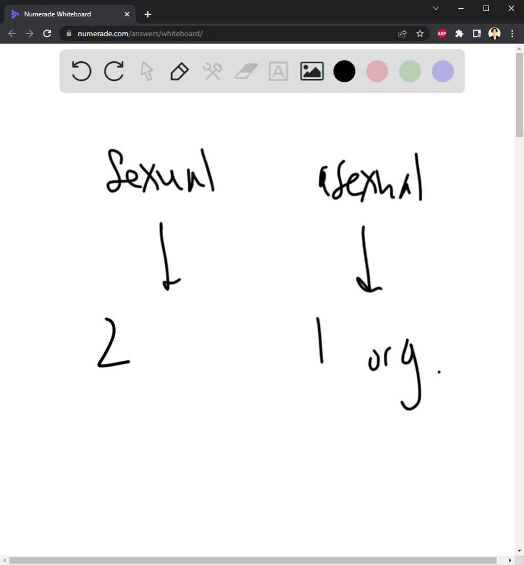 SOLVED 3) **** The picture shows the process of asexual reproduction