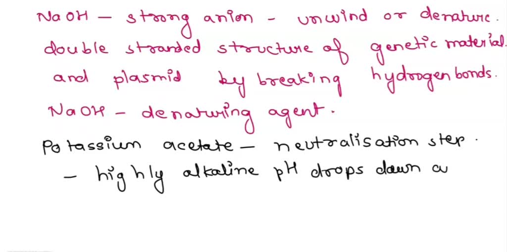 SOLVED What are the functions of sodium hydroxide potassium acelate solution? and SDS in the