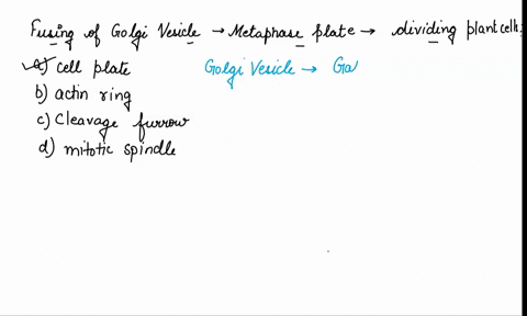 the-fusing-of-golgi-vesicles-at-the-metaphase-plate-of-dividing-plant-cells-forms-what-structure-a-c-01814