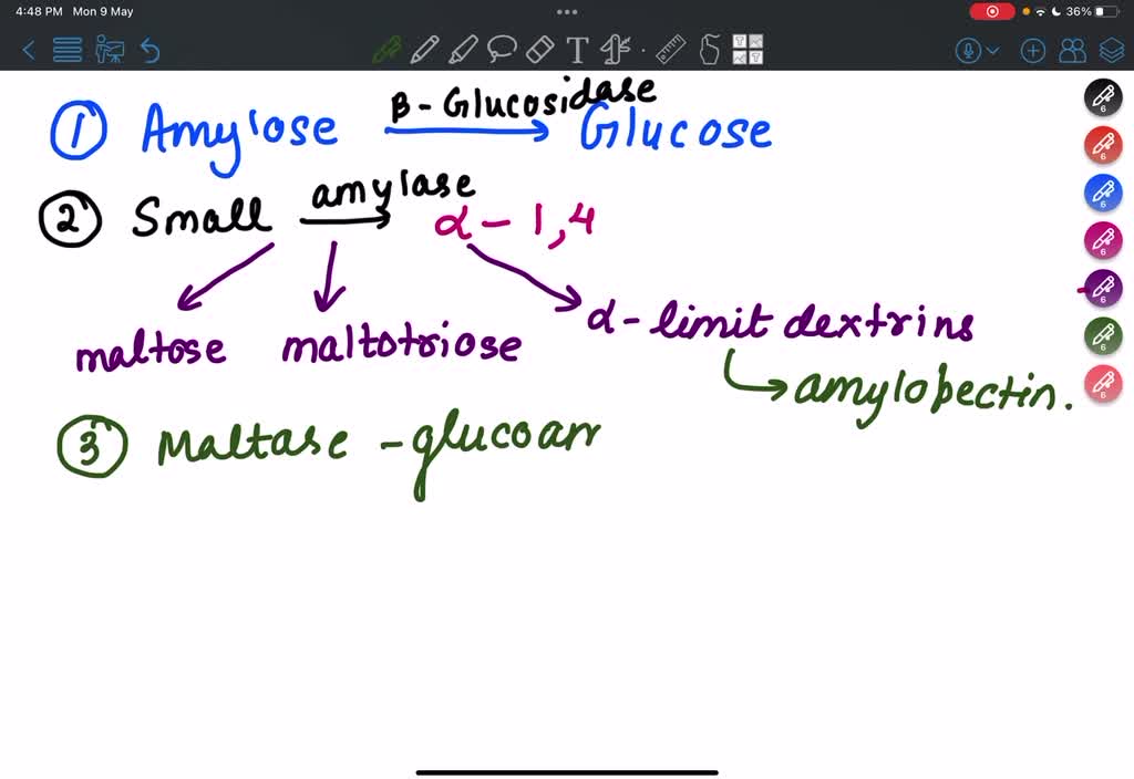 SOLVED 1. What type of glycosidic bond does amylose break? 2. Which