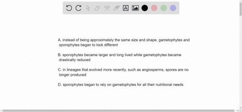which-is-a-major-evolutionary-trend-in-land-plant-life-cycles-group-of-answer-choices-a-instead-of-being-approximately-the-same-size-and-shape-gametophytes-and-sporophytes-began-to-look-different-b-sp