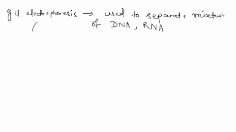 the-dna-below-shows-the-sequence-of-a-template-strand-on-top-with-the-ends-labeled-and-sequencing-primer-on-the-bottom-with-the-ends-not-labeled-but-shown-correctly-aligned-with-the-template-61847
