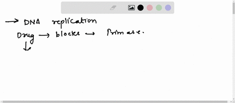 7-dna-replication-a-you-have-a-drug-that-blocks-the-activity-of-primase-what-will-happen-to-dna-replication-upon-administration-of-the-drug-be-specific-what-exactly-wont-happen-and-as-a-resu-02324