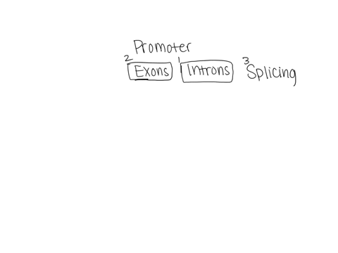 enter-the-appropriate-word-or-words-into-each-blank-to-complete-the-following-statements-about-rna-synthesis-dna-sequence-that-directs-binding-of-rna-polymerase-for-transcription-of-a-downst-28058