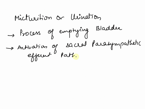 question-26-which-of-the-following-acts-as-the-trigger-for-the-initiation-of-micturition-voiding-of-the-urinary-bladder-oa-the-pressure-of-the-fluid-inside-the-bladder-o-bstimulation-of-sacr-92788
