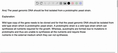 question-points-you-have-isolated-two-different-yeast-strains-strain-and-strain-each-of-which-tails-t0-grow-in-tne-absence-of-arginine-you-want-clone-the-wild-type-copy-of-the-gene-or-genes-81757