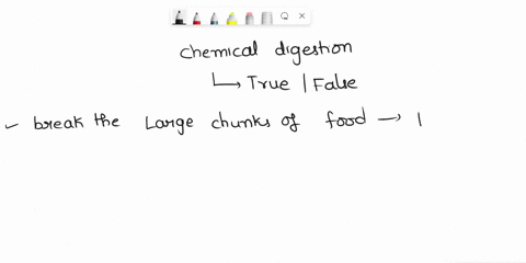 chemical-digestion-is-a-series-of-chemical-reactions-that-break-large-chunks-of-food-into-proteins-carbohydrates-and-fats-truefalse-69937