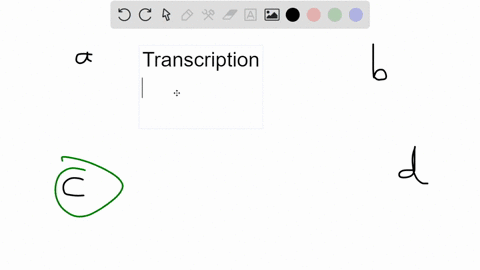 a-chromosome-contains-many-different-gene-regions-that-are-transcribed-into-different-__________-a-p-03207