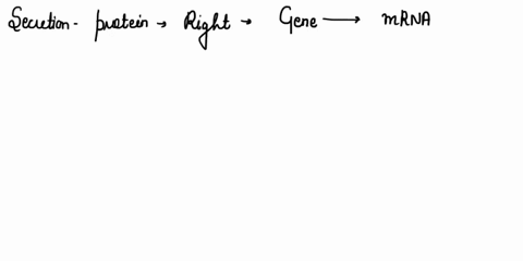 many-parts-of-the-cell-are-utilized-when-a-secretory-protein-is-generated-what-is-the-cellular-path-of-information-when-a-protein-is-expressed-starting-with-dna-to-the-final-cellular-locatio-10224