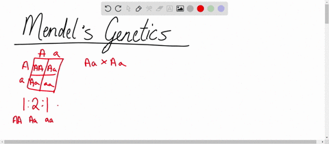 in-paragraph-form-1-point-if-not-a-name-and-define-mendels-second-law-your-textbook-refers-to-this-as-mendels-second-key-discovery-then-explain-the-biological-basis-for-this-law-with-regards-40143
