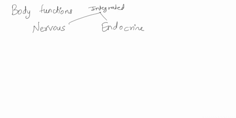 how-are-the-nervous-and-the-endocrine-system-involved-and-how-do-they-work-together-70794