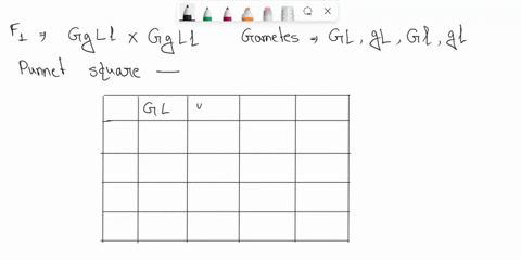 two-fl-individuals-were-crossed-as-follows-ggll-x-ggll-fill-in-the-punnett-square-for-this-cross-below-what-generation-results-from-the-cross-offl-x-fl-what-is-the-genotypic-ratio-of-the-pro-43698