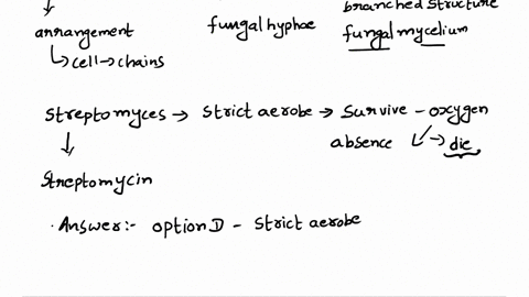 streptomyces-differs-from-actinomyces-because-streptomyces-a-is-an-archaea-b-produces-conidia_-c-forms-filaments-d-is-a-strict-aerobe-e-is-bacterium-10-which-of-the-following-statements-rega-32447