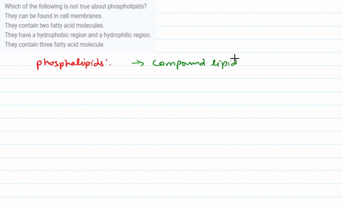 which-of-the-following-is-not-true-about-phospholipids-they-can-be-found-in-cell-membranes-they-contain-two-fatty-acid-molecules-they-have-a-hydrophobic-region-and-a-hydrophilic-region-they-63275