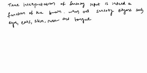 interpretation-of-sensory-input-is-a-function-of-the-brain-true-false-72233