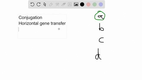 which-statement-is-true-regarding-conjugation-select-one-a-it-requires-a-pilus-b-it-requires-a-virus-c-the-cells-never-come-into-direct-contact-d-it-can-only-occur-between-bacteria-of-the-sa-94348