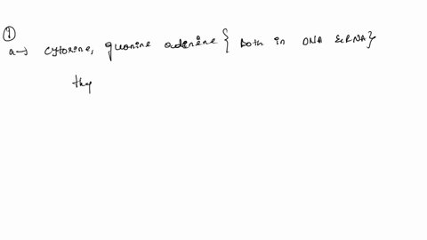 question-1-a-state-all-four-nucleobases-that-made-up-the-nucieic-acid-1-b-list-the-possible-sites-of-metal-nucleotide-interactions-2-c-explain-the-general-mechanism-of-covalent-binding-betwe-72248