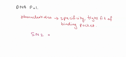 please-answer-the-following-question-about-certain-mechanistic-aspects-of-dna-pol-ribonucleotide-triphosphates-containing-the-sugar-ribose-are-at-a-much-higher-concentration-in-a-cell-than-d-11407