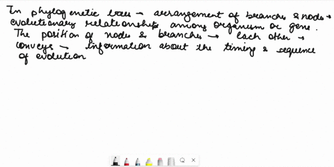 which-of-the-following-statements-about-phylogenetic-trees-is-false-select-one-a-rotation-of-lineages-around-a-node-can-change-the-meaning-of-a-tree-b-a-node-is-another-word-for-branching-po-76725