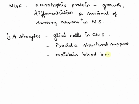 nerve-growth-factors-that-stimulate-outgrowth-of-severed-axons-are-secreted-by-a-astrocytes-b-oligodendrocytes-c-neurolemmocytes-d-microglial-cells-54137