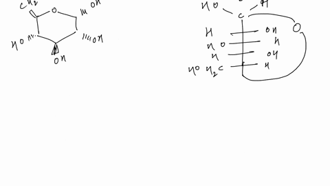 how-do-monosaccharides-form-cyclic-structures-explain-the-necessary-chemical-components-and-draw-the-general-synthesis-65143