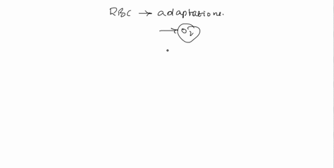 describe-any-three-adaptations-of-the-red-blood-cells-to-carry-oxygen-61705
