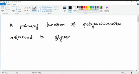 a-primary-function-of-polysaccharides-attached-to-glycoproteins-and-glycolipids-of-animal-cell-membranes-is-to-afacilitate-diffusion-of-active-transport-of-molecules-into-the-cell-b-mediate-38862