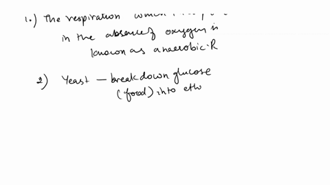 the-budding-yeast-saccharomyces-cerevisiae-also-known-as-brewers-yeast-or-bakers-yeast-is-a-eukaryote-that-can-grow-either-aerobically-or-anaerobically-ie-with-or-without-oxygen-in-fact-s-ce-80835
