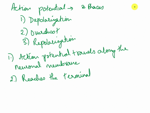 describe-the-sequence-of-steps-for-an-action-potential-of-one-neuronal-cell-leads-to-the-action-potential-in-a-postsynaptic-cell-24142